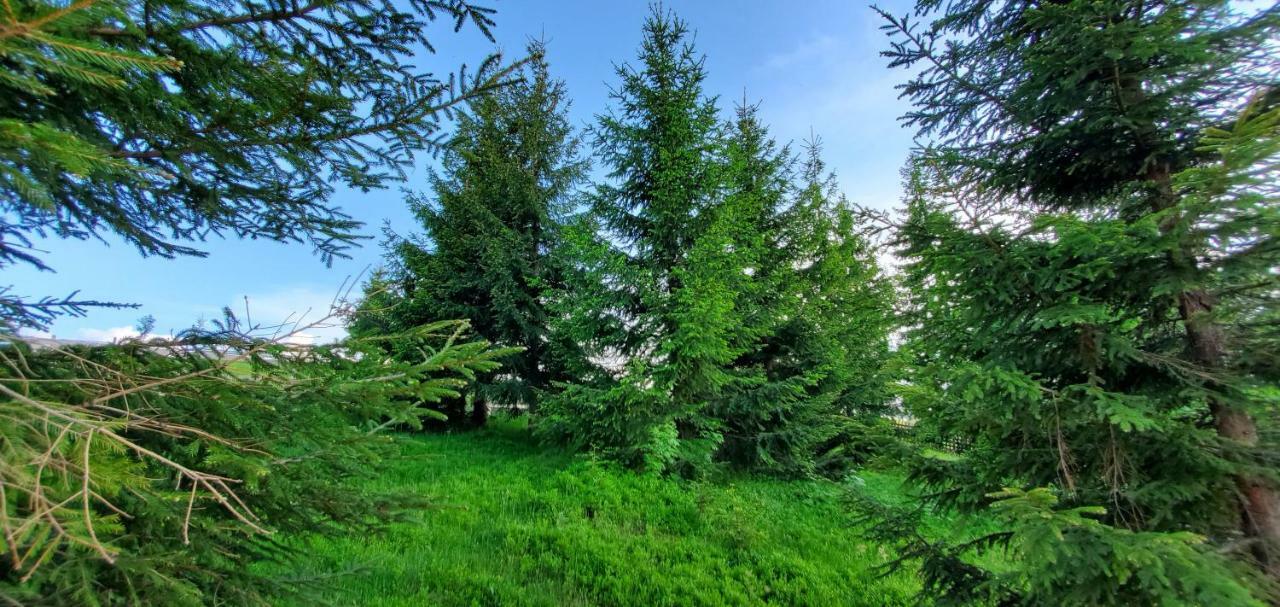 Agropensiunea Mara Mărişel Extérieur photo